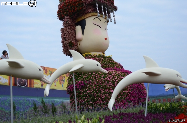 新社與花毯節問題集中討論.花海延期到20號