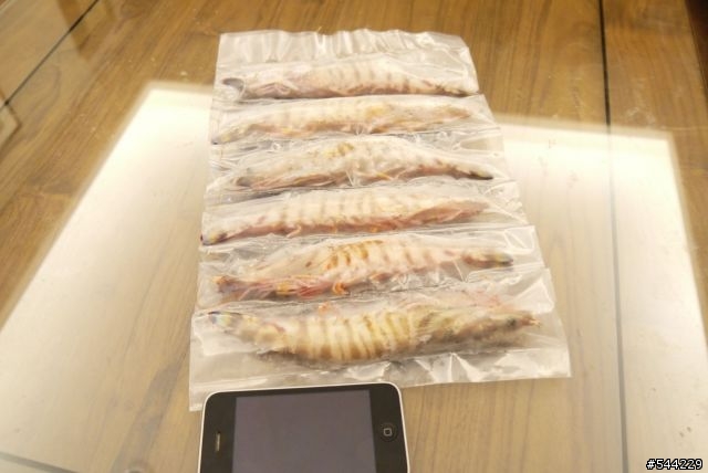 【分享】過完立冬吃火鍋囉!!厚道張相撲火鍋肉開吃(箱)!!