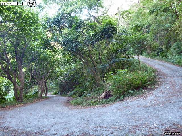 故宮邊(擇善小環線)