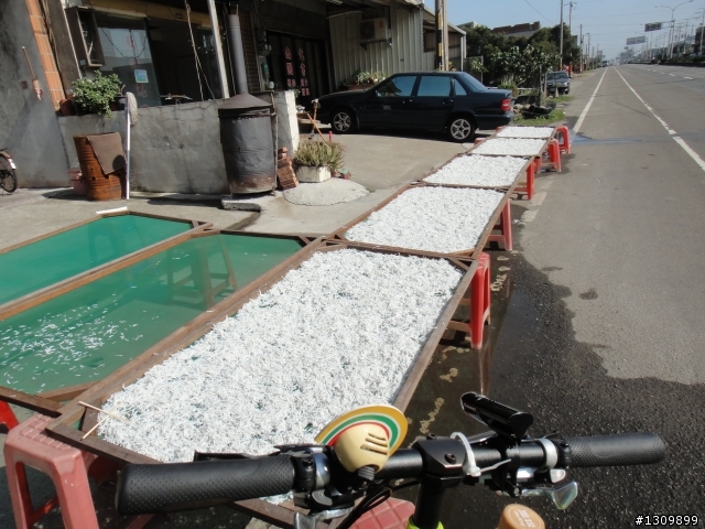 呆丸雙塔不好騎,2012 永不放棄-縱貫台灣520K