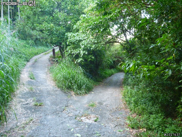 故宮邊(擇善小環線)