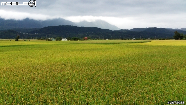 2012年11月環島 ~ 港星團小記