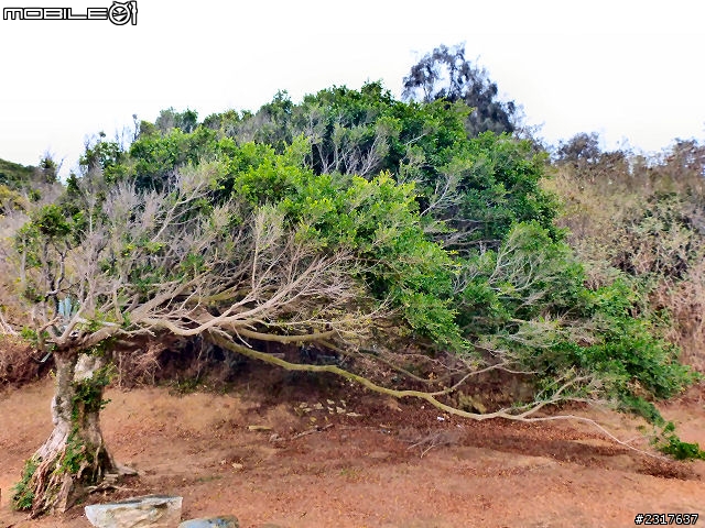 金門三日記行(3/3)