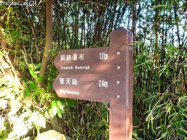 霧鎖金芒