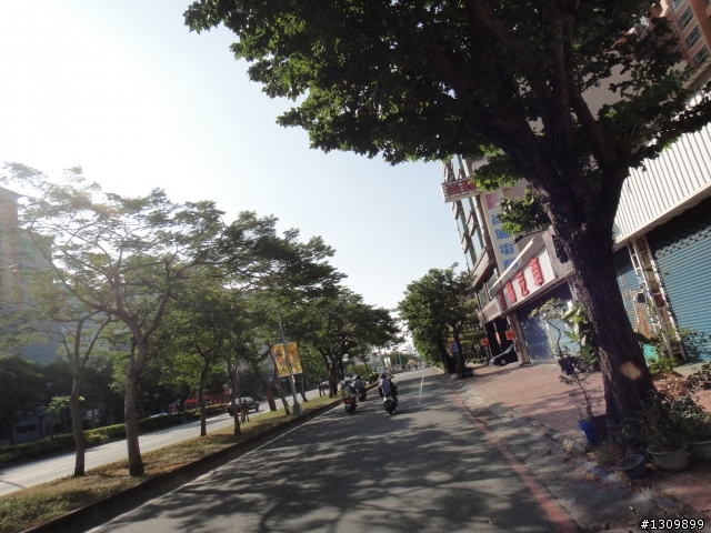 呆丸雙塔不好騎,2012 永不放棄-縱貫台灣520K