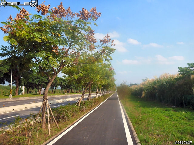 大度路自行車道已開通