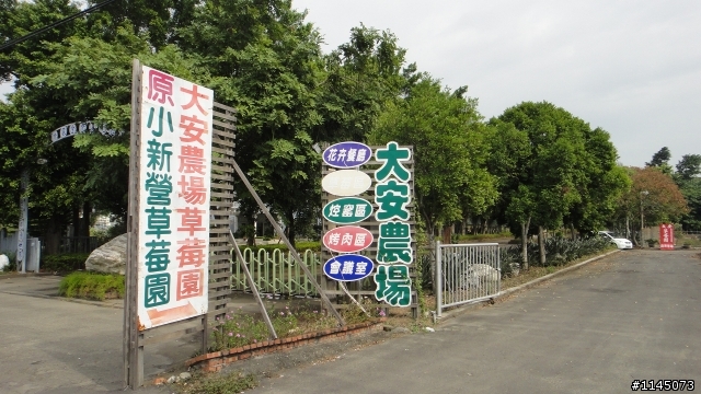 善化「光」電人「文」之旅!