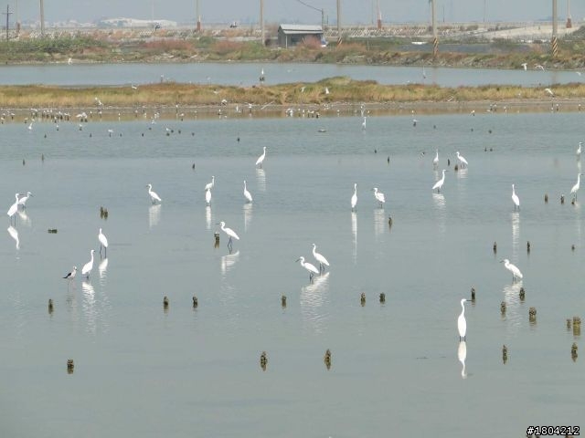 海灘褲單車環島 Day1-5