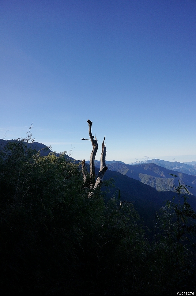 中年上班族 新手單攻玉山 補圖