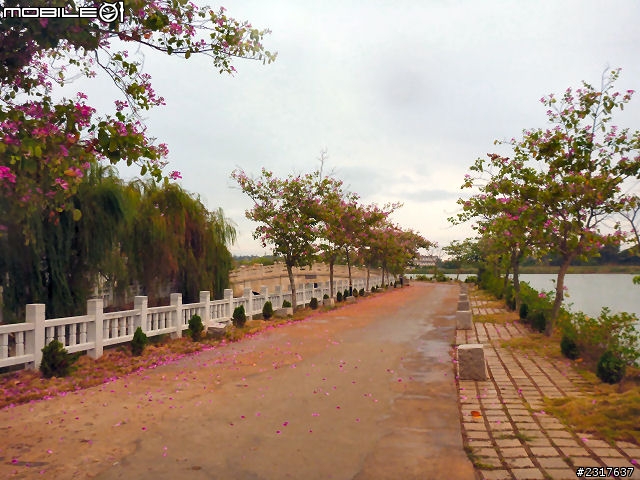 金門三日記行(3/3)