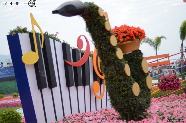 新手上路問題多D7000+35mm F2D試拍新社花海