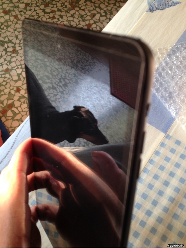 (圖多廢話多)今日入手之IPAD MINI!