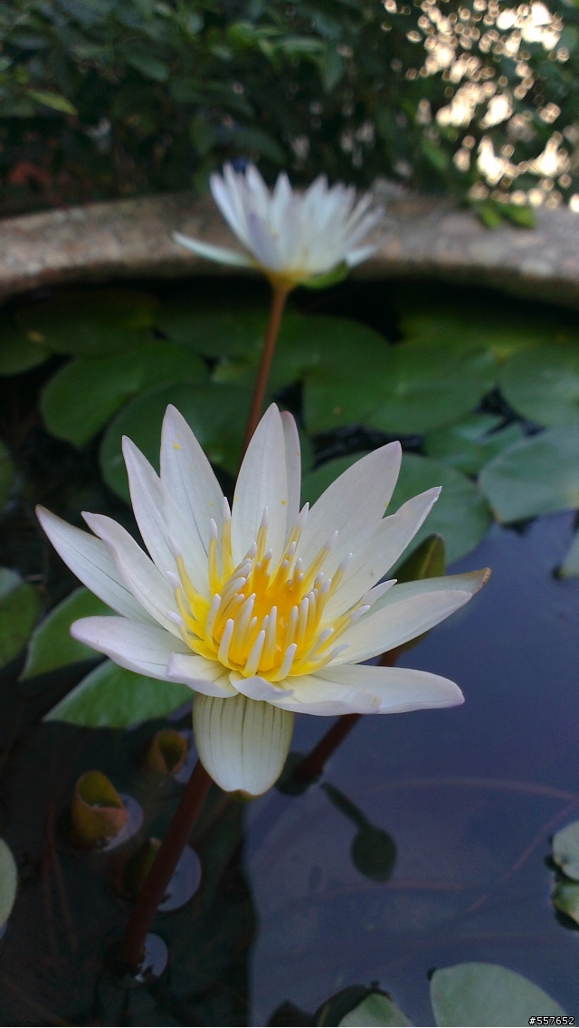 HTC-ONE-X+開箱好幾張,新增夜拍照
