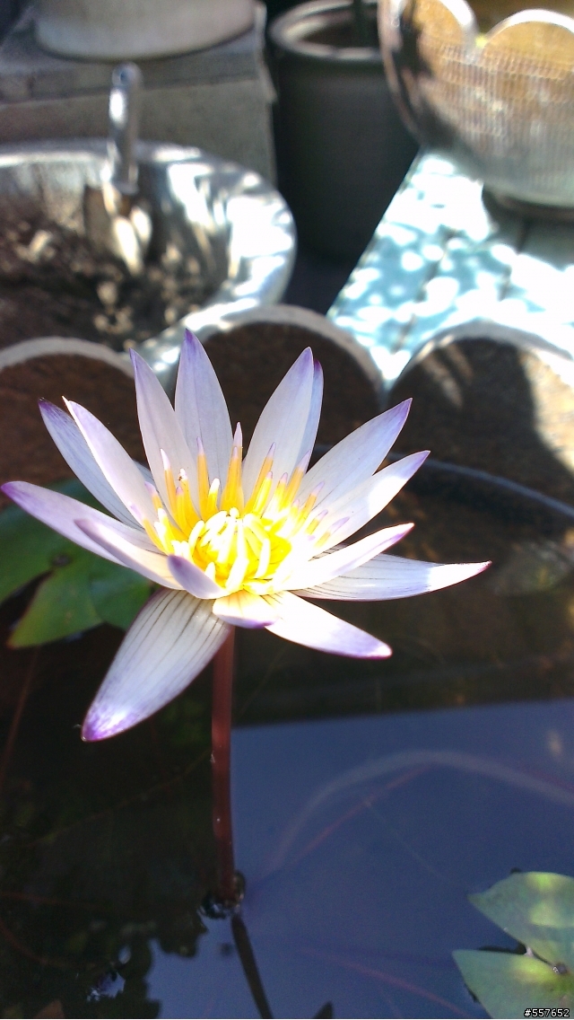 HTC-ONE-X+開箱好幾張,新增夜拍照
