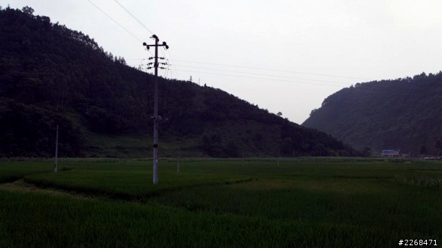 【信念】單人雙騎環中國獨旅-21-百色