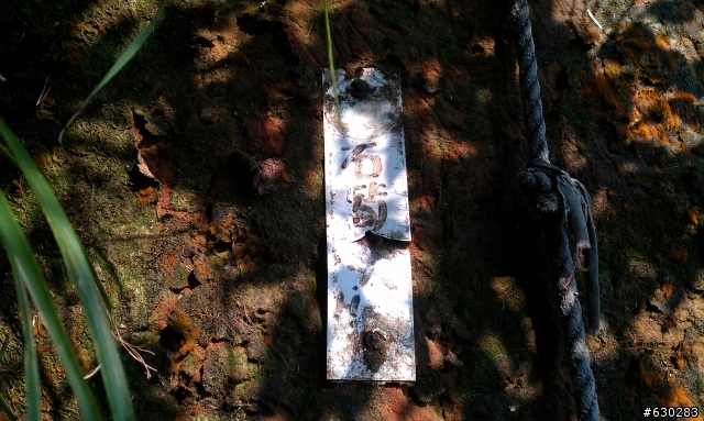 石筍尖 20121109