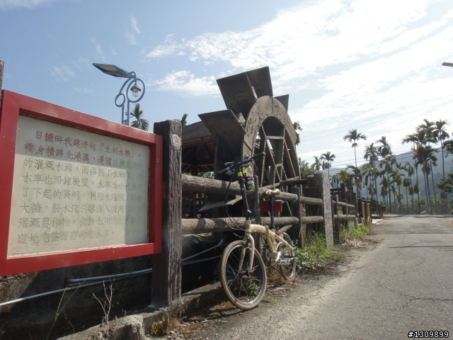「鯉躍龍門、祈求成功」2012國姓搶成功