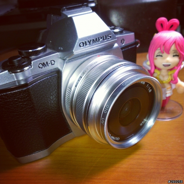 E-M5的live view&照片出現橫條紋