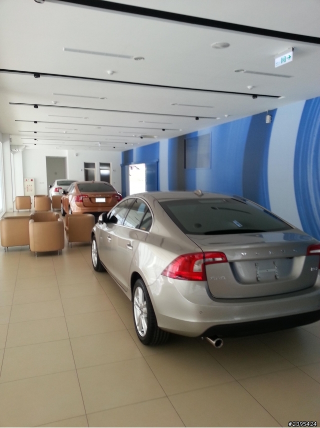 S60 T4 貝殼灰