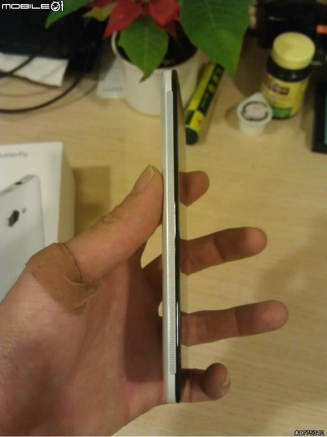 我也收到白蝴蝶拉~~神腦預購的