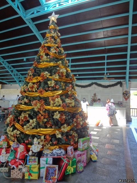 2012菲律賓, 宿霧, 馬克坦島. Phillipines, Cebu, Mactan Island.
