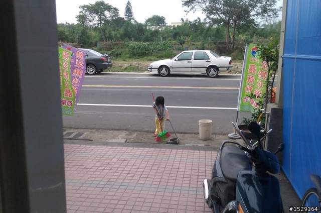 再見了~我的小白......
