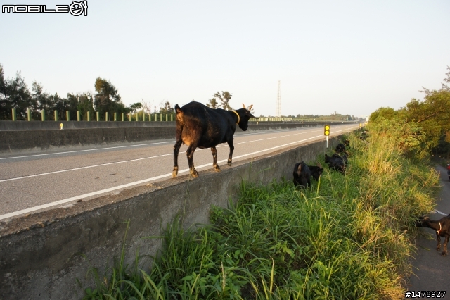 衝吧~~~~末日前夕最終騎