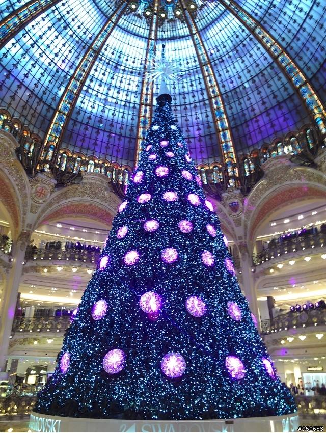 BOTTEGA VENETA 包包及長皮夾