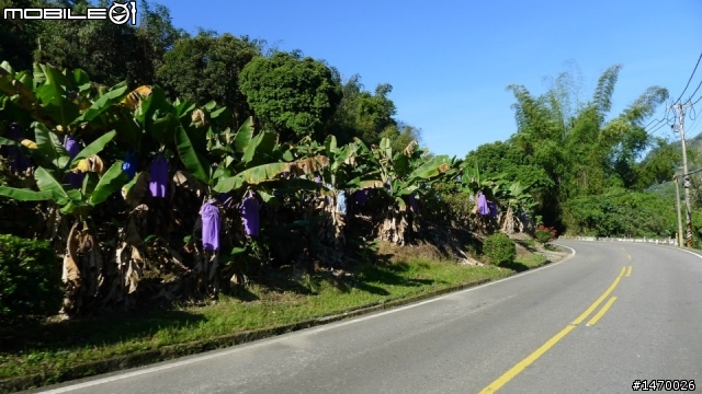 一日台三線 :挑戰翻山越嶺441km的內山公路