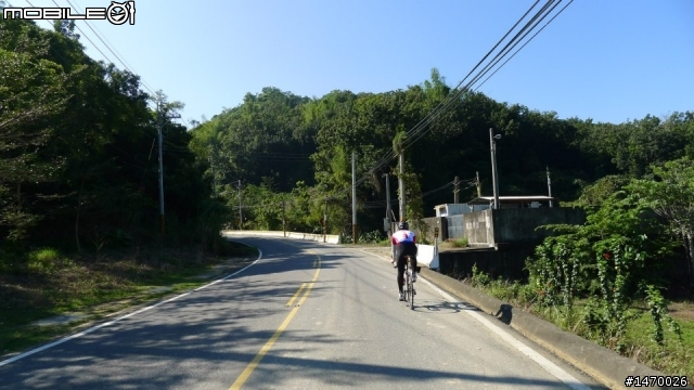 一日台三線 :挑戰翻山越嶺441km的內山公路