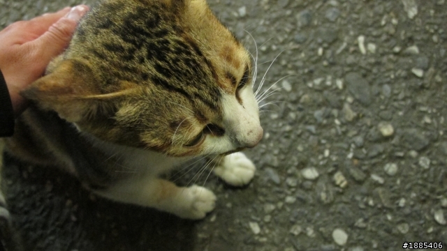 (9/18~9/28) 10天9夜 (帶著草泥馬)四極點加地理中心環島 - DAY7