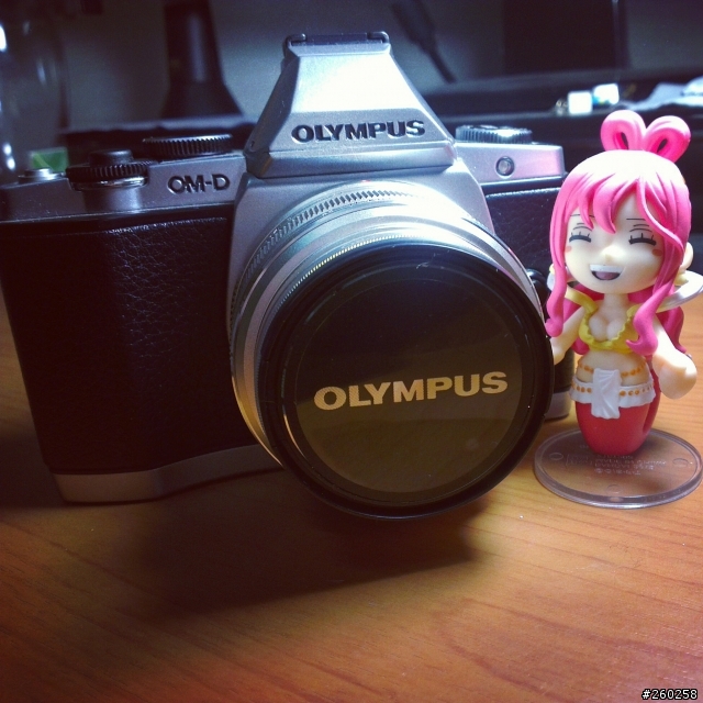 E-M5的live view&照片出現橫條紋