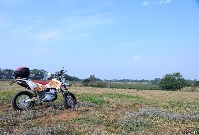 DRZ400SM保養-DIY換水箱水