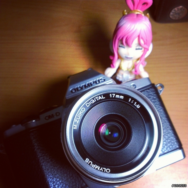 E-M5的live view&照片出現橫條紋