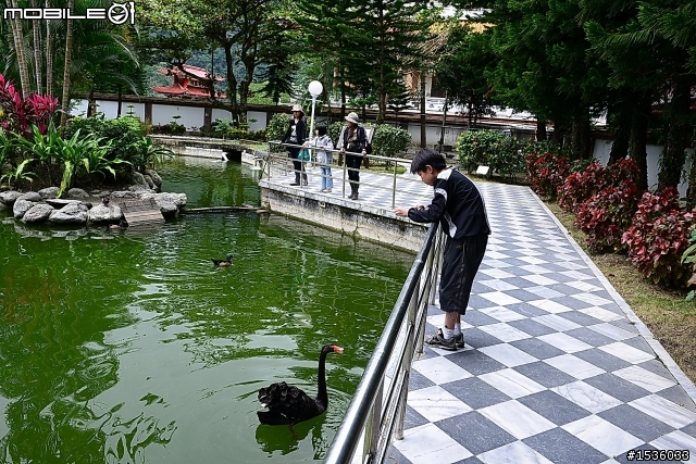 省下5千定保,直接跳做一萬定保,省下開銷當旅遊基金(台東知本老爺之行)。