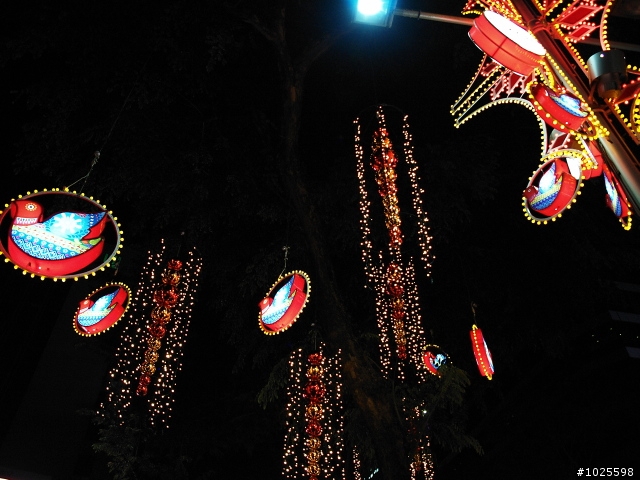 Christmas Light-Up 2012 @烏節路, 新加坡 & 技巧小心得(圖有點多)