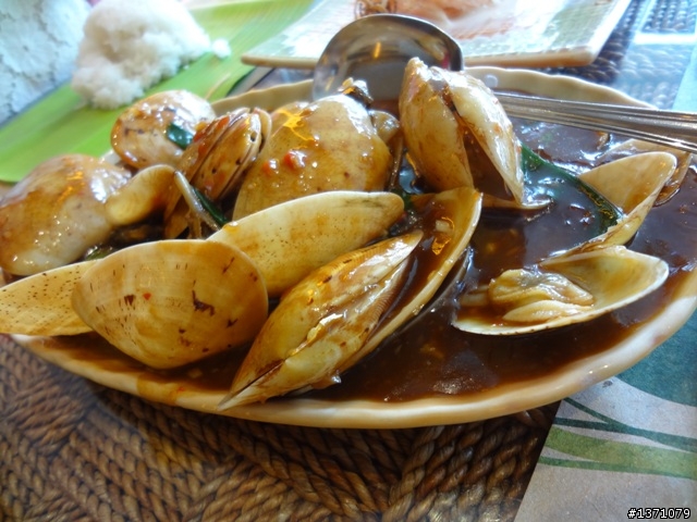 2012菲律賓, 宿霧, 馬克坦島. Phillipines, Cebu, Mactan Island.