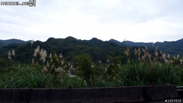 【遊記】北部賞梅景點--『角板山』賞梅趣。