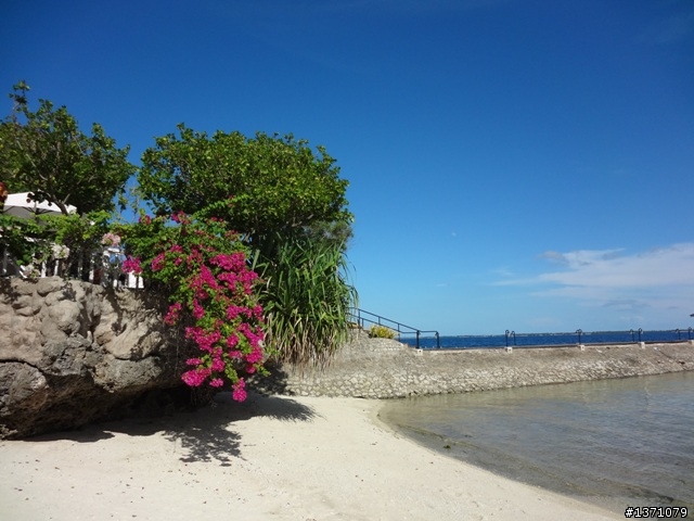 2012菲律賓, 宿霧, 馬克坦島. Phillipines, Cebu, Mactan Island.