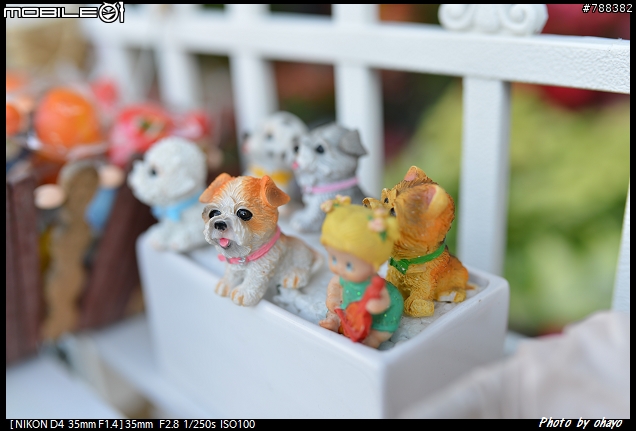 為了精品與時尚而入手的Sigma 35 F1.4 ~