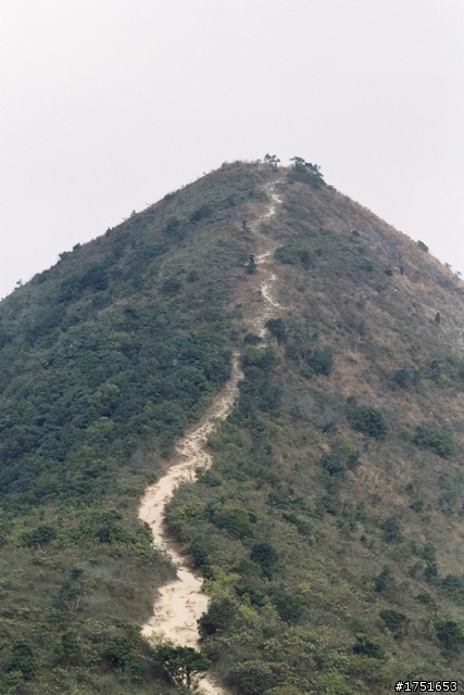 底片拍攝,求指教
