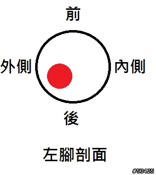 腿後方奇怪的痠痛