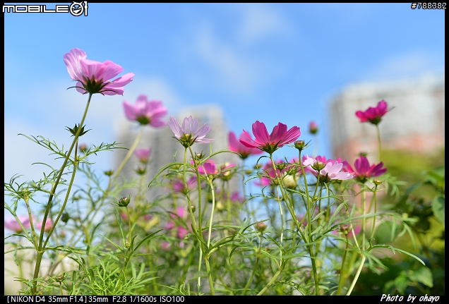 為了精品與時尚而入手的Sigma 35 F1.4 ~