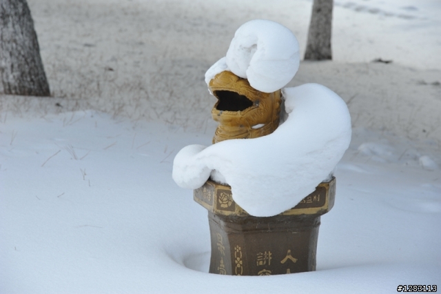 「2012聖誕東北+北京專列火車冰雪之旅」八天零下30度低溫挑戰行(圖文詳盡)