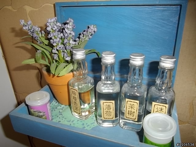 台南有愛的香草森林~~