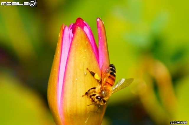 用SONY A37來蓋大樓