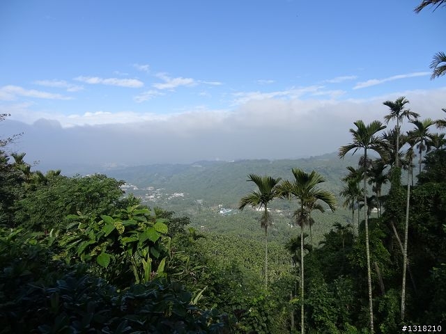 親子旅遊-小鬼"索草(台語)"去