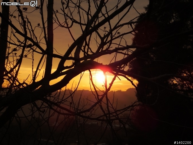 2013/01/01 元旦行春..八卦茶園之旅..Dink180.