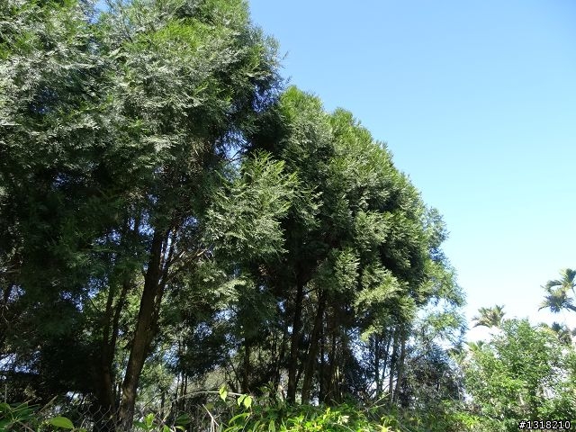 親子旅遊-小鬼"索草(台語)"去