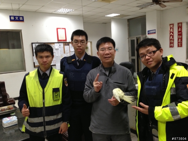 奇蹟:我家的玄鳳-5寶失而復得! 感謝龍興派出所